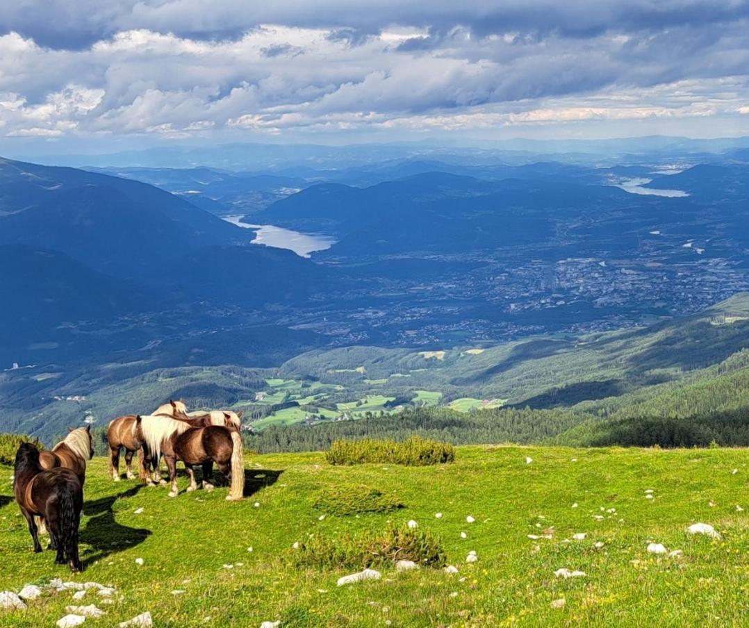 Direkter Seezugang Am Ossiacher See, Radfahren, Wandern & Erlebniscard Villach Exteriör bild